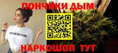 стаф Краснокаменск