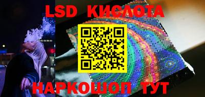 крисы Краснодар