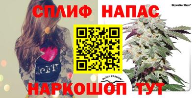 jwh Краснознаменск