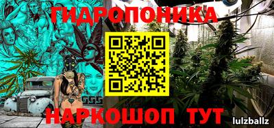 стаф Краснокаменск
