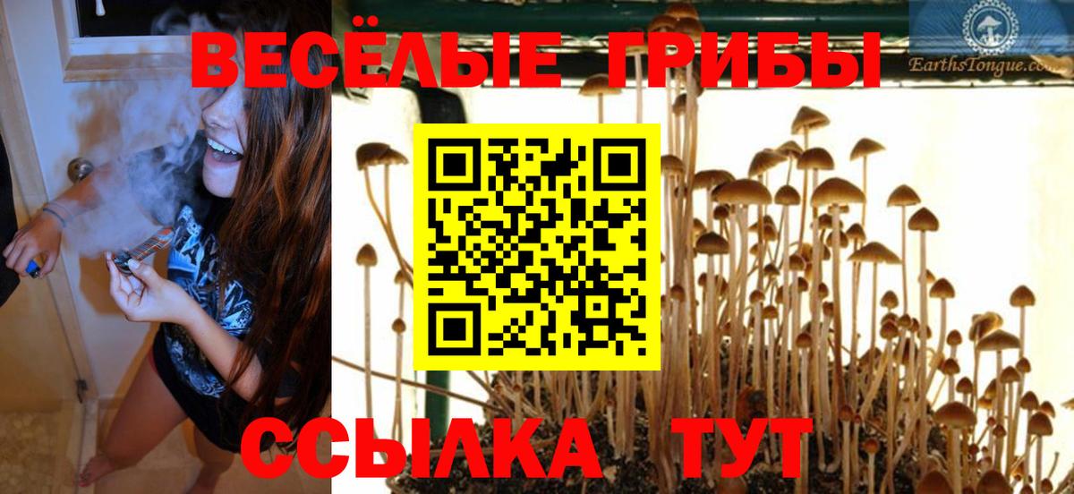 Коряжма  Псилоцибиновые грибы мухоморы  где продают   Вход с VPN 